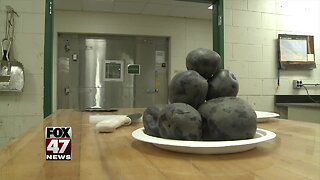 MSU growing, selling purple potatoes for chips