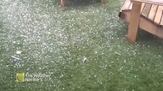 Backyard gets pummelled with hail