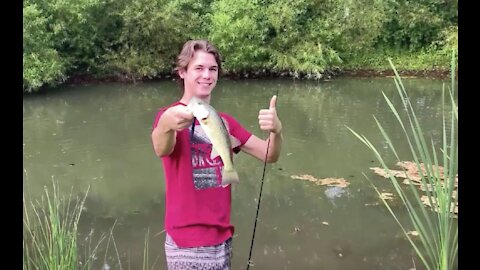 How to catch bass in ponds - fun bass fishing tips