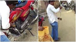 Estrae un serpente da una moto