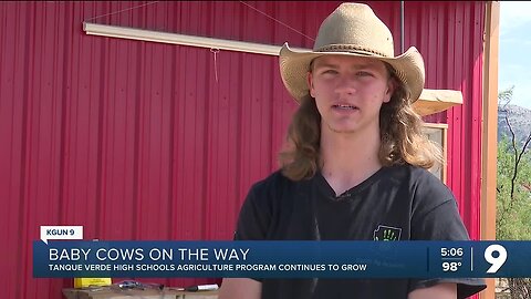More animals, more students: Tanque Verde High School's agriculture program continues to grow