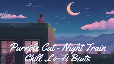 Purrple Cat - Night Train | Chill lofi Beats 🔥lofi hiphop mix🎵