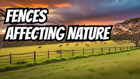 Fences of Australia: An Environmental Ripple Effect