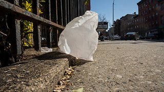 New York To Ban Single-Use Plastic Bags