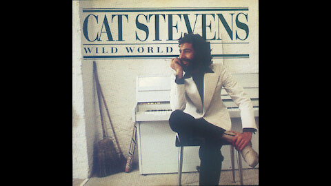 Wild World (Cat Stevens - Cover)
