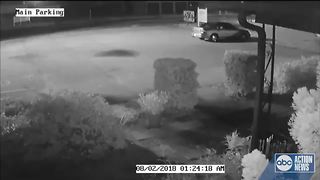 Polk hit and run surveillance