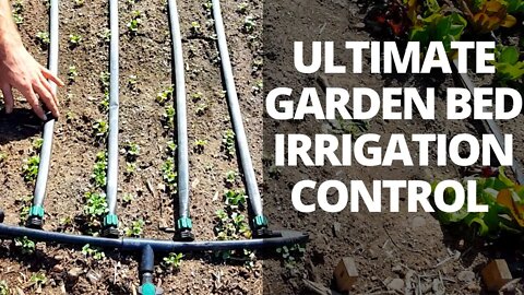 Ultimate Irrigation Control: How to Make a Drip Tape On/Off Garden Bed Manifold