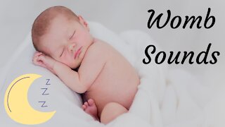 WOMB SOUNDS and HEARTBEAT | 3 Hrs ~ASMR ~
