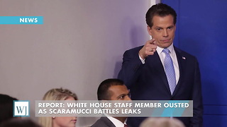 Report: White House Staff Member Ousted As Scaramucci Battles Leaks