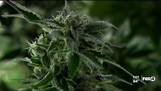 The house expected to vote on decriminalizing marijuana