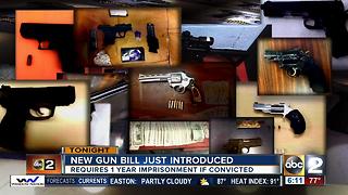 City Council to introduce new gun bill