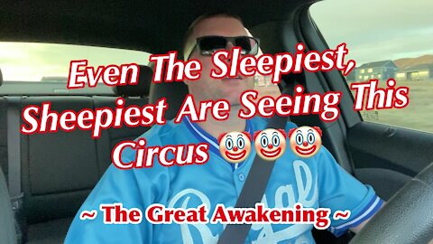 Even The Sleepiest, Sheepiest Are Seeing This Circus! ~ The Great Awakening ~