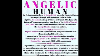 What Is Angelic Humans, Bee Vaccines, Satanism Viewer Desecration Is Advised!