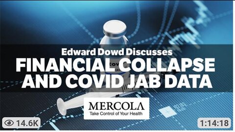 FINANCE ‘GURU’ REVEALS FINANCIAL COLLAPSE AND COVID JAB DATA- INTERVIEW WITH EDWARD DOWD