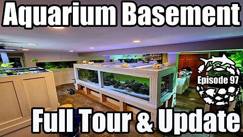 Complete Aquarium Basement Full Tour and Future Plans! Big Tanks & Big Plans!