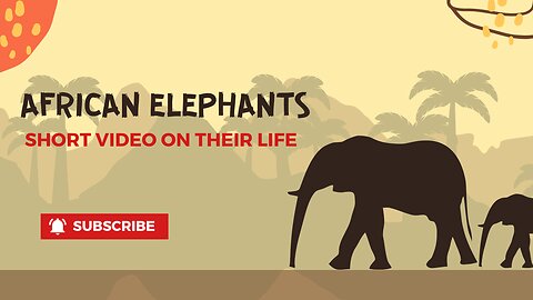 Graceful Giants: A Glimpse into the Lives of African Elephants