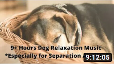 05 - 9+ Hours Dog Relaxation Music, Especially for Separation Anxiety. (For People, Too!)