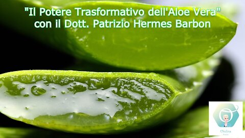 "BenEssere OL3" con il Dott. Patrizio Hermes Barbon: "Il Potere Trasformativo dell'Aloe Vera"