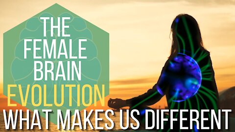 Female Brain