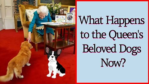 Here's What Happens to the Queen's Beloved Dogs Now