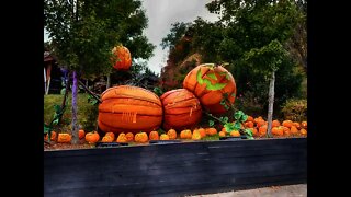 Dollywood Pumpkin Luminights Walkthrough