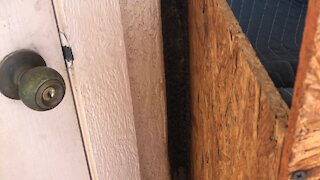 Open air wall bees