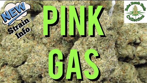 Pink Gas