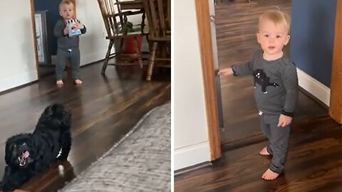 Ambitious Toddler Hilariously Denied Ice Cream For Breakfast