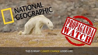 The Polar Bear Hoax - #PropagandaWatch
