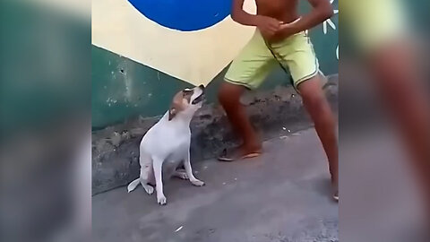 let's dance with these funny dog and boy in this heartwarming video.#animal#fun#boy