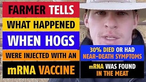 Farmer tells what happened when hogs were injected with a mRNA vaccine