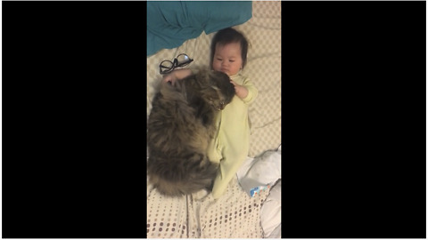 Baby cuddles sweet loving kitty