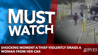 Shocking moment a thief violently drags a woman from her car