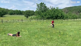 Adorable miniature horse jumps over kids