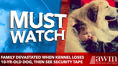 Family Devastated When Kennel Loses 10-Yr-Old Dog, Then See Security tape