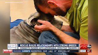 Nonprofit helps boxers and pit bulls find homes in Kern County