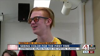 New glasses give colorblind Raytown native new appreciation for art