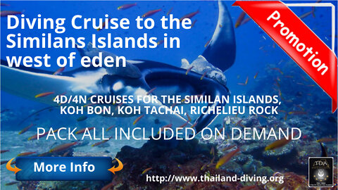 🐋Diving #Cruise to the Similans Islands in west of eden