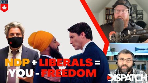 Liberal/NDP Party Wants Control Over the Internet