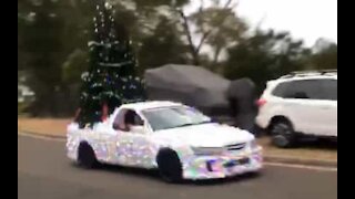 Driver put up huge Christmas tree in his car