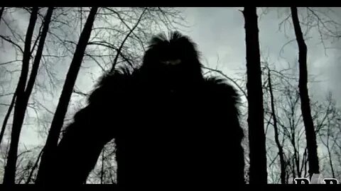 Bigfoot Screams in WV.
