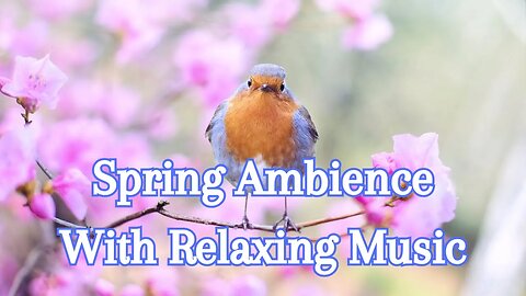 Wonderful Spring Ambience With Relaxing Music & Birds - 3 Hours