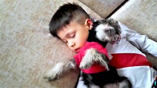 Playtime ends adorably for young boy and his new puppy