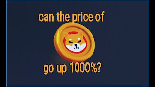 can the price of shiba token change 1000%?