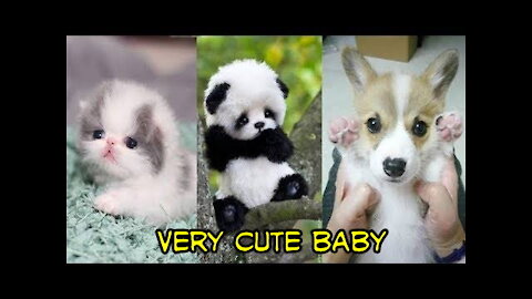 Cute Baby Animals Videos Compilation 💗 Cute Moment Of The Animals #1