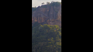 Sigiriya Lion