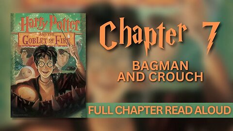 Harry Potter and the Goblet of Fire | Chapter 7: Bagman and Crouch