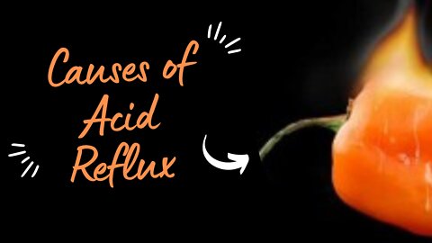 Causes of Acid Reflux