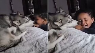Boy Shares Special Bond With His Doggy Best Friend