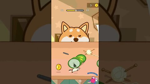 Kitten Hide N' Seek: Neko Doge #2